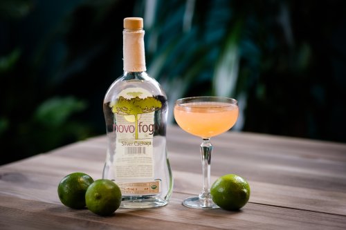 Christmas Daiquiri 01